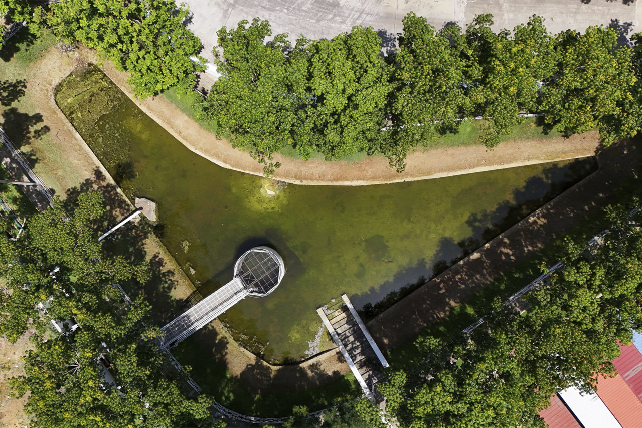 Aerial view of a serene pond featuring a small bridge crossing over the water, surrounded by lush greenery.