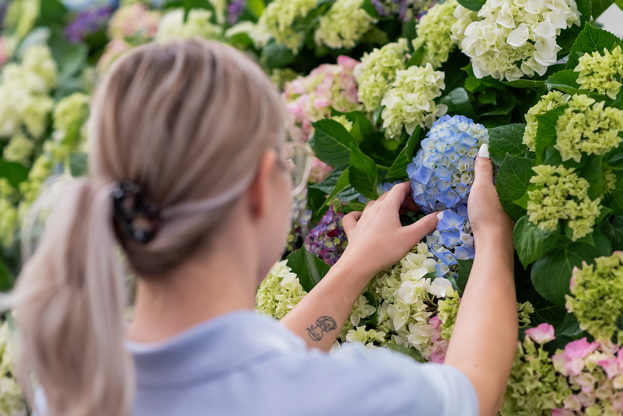 Sustainability and community: BMW Group Plant Debrecen will also participate with a flower float at the DebrecenFlower Carnival.