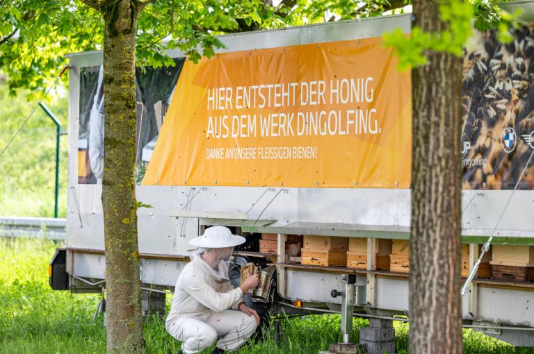 Dingolfing Mobiler Bienenwagen