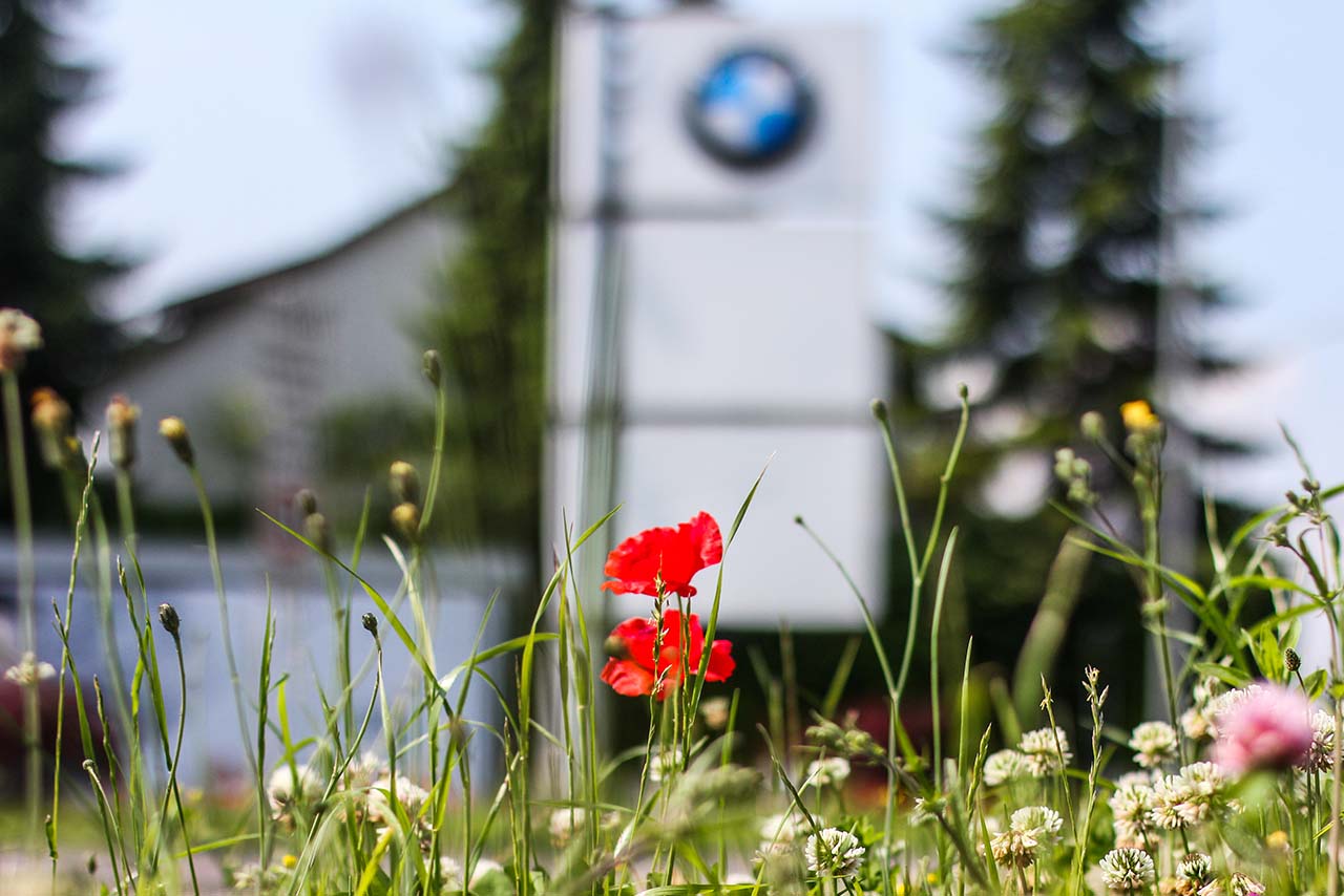 Nachhaltigkeitstag 2021 im BMW Group Werk Steyr: Ressourcenschonende Produktion und Umstieg auf erneuerbare Energie.