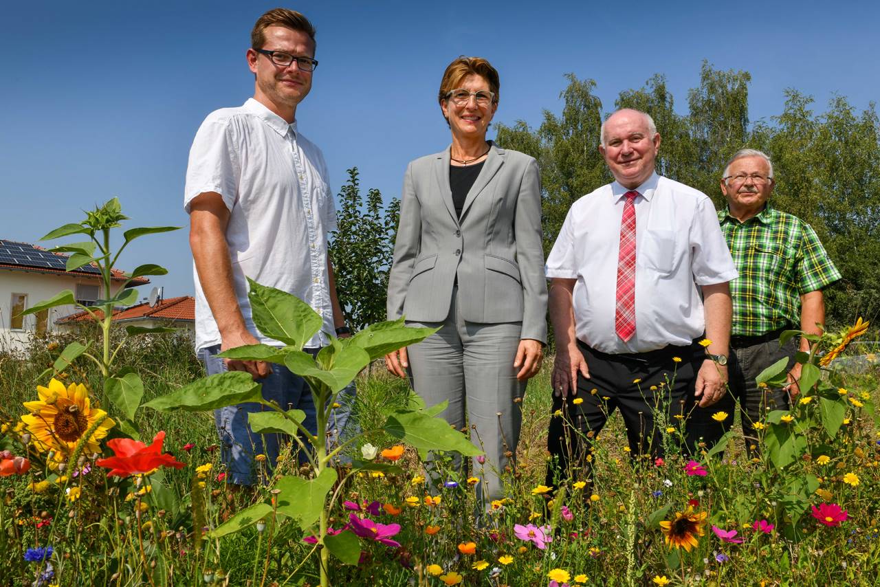 Landrat Heinrich Trapp (2. von rechts), Werkleiterin Ilka Horstmeier (2. von links), Michael Weidner, 1. Vorsitzender des Bezirksverbands für Gartenkultur und Landespflege Niederbayern e.V. (rechts), sowie Andreas Kinateder, Kreisfachberater für Gartenkultur und Landespflege (links), machten sich in Ganacker / Pilsting ein Bild von einer der vielen entstandenen Blühflächen. 