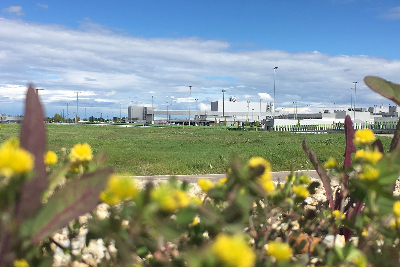 Im BMW Group Werk Dingolfing steht das Thema Nachhaltigkeit im Fokus.