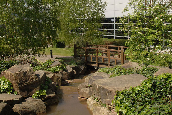  A serene garden scene featuring a wooden bridge over a small stream, surrounded by lush greenery and rocks.