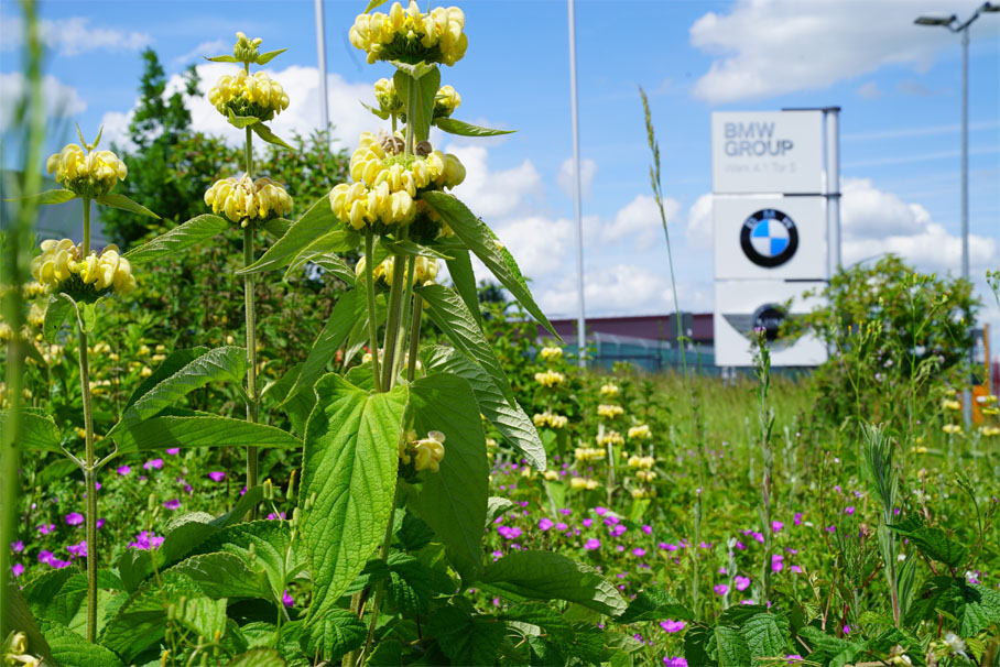 Schild des BMW Group Werks Landshut mit einer grünen Wiese und vielen bunten Blumen im Vordergrund.