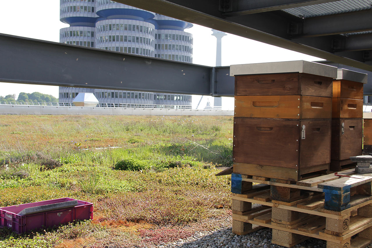 Bienenkästen auf dem Dach eines BMW Gebäudes in München