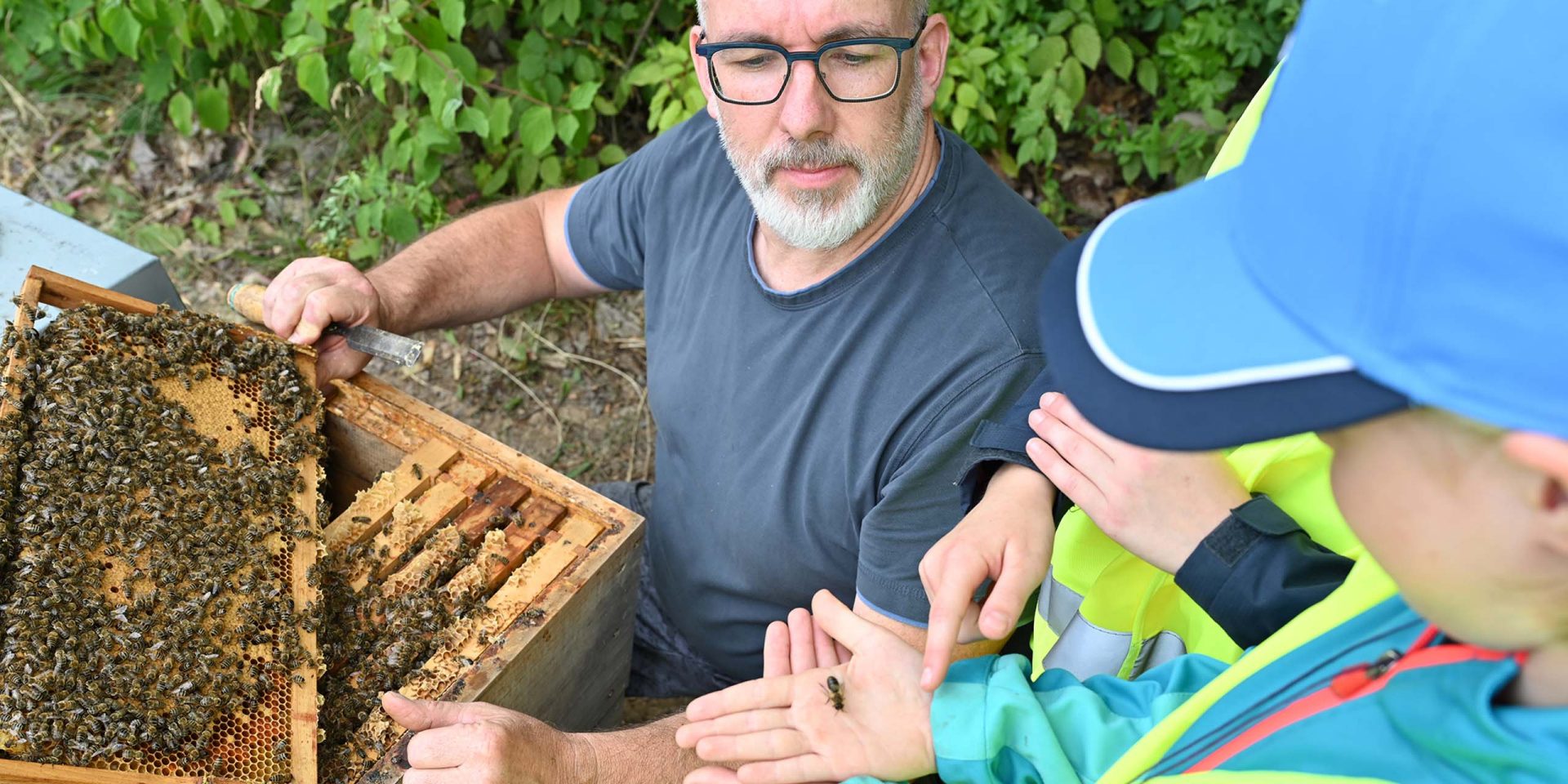 Bienen