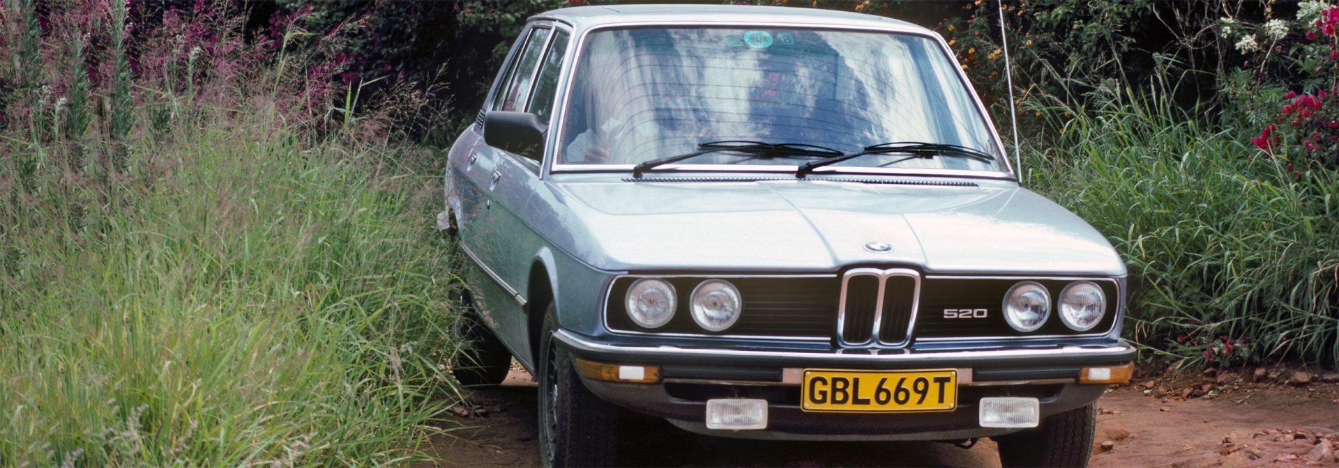  BMW 5 series driving through nature