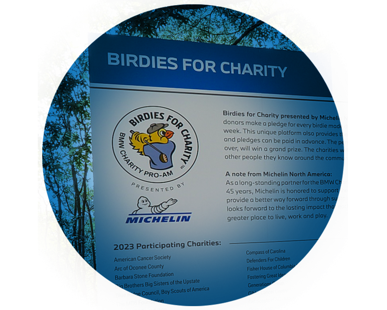 Birdies for Charity