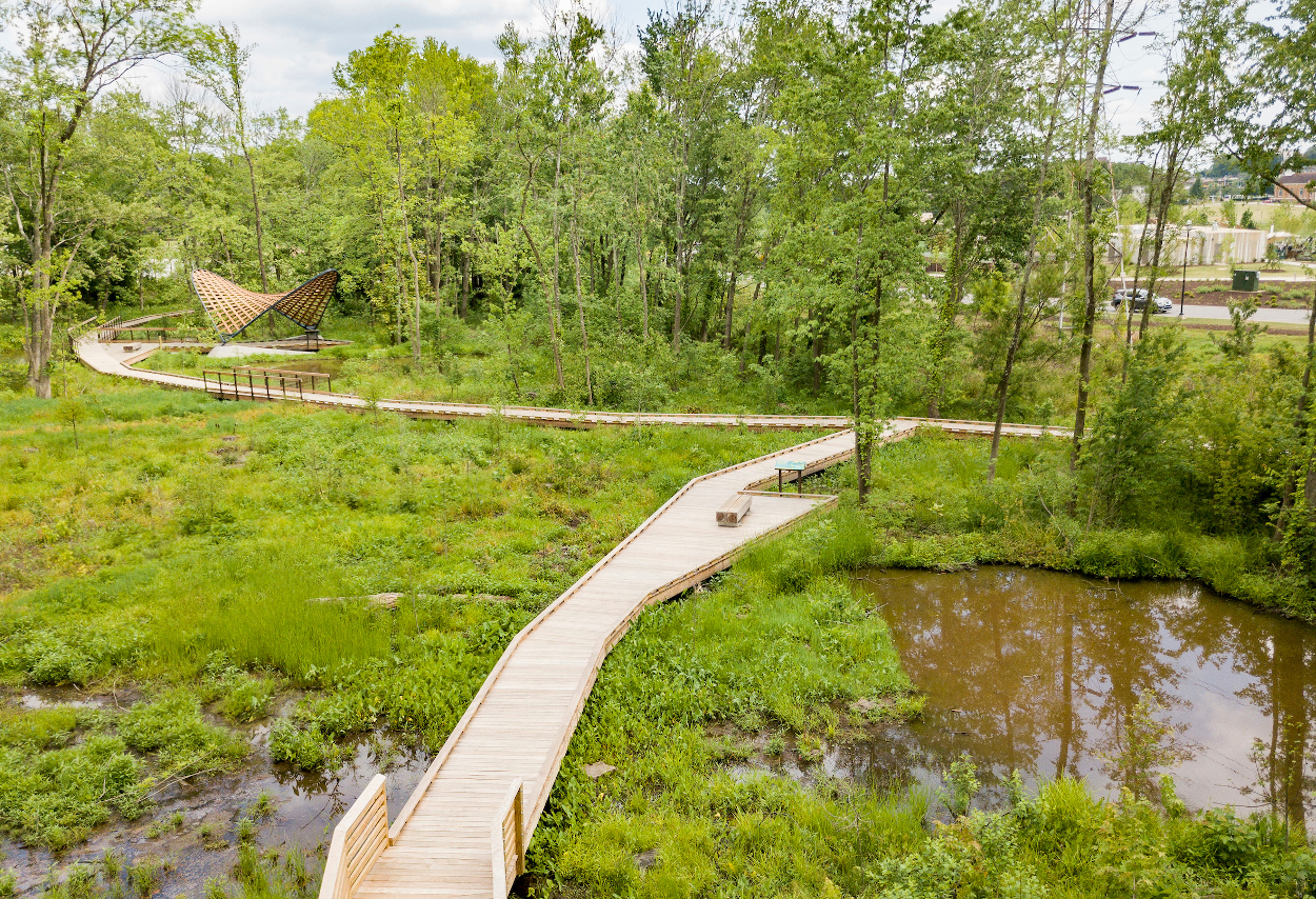 Wooden walkway path through Wetlands preserve by Reedy River.