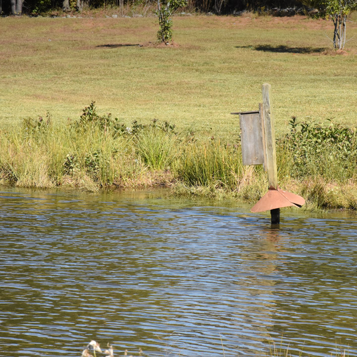 Duck boxes in the pond with natural habitat on the plant site. 